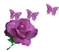purplerose.gif